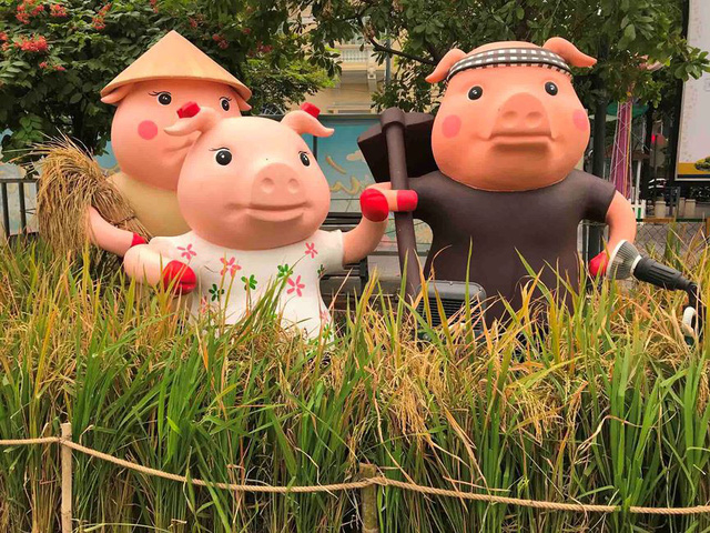 Ngắm đàn lợn hài hước với vô vàng biểu cảm như hờn cả thế giới