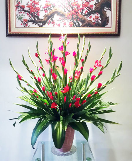Ngoài đào và quất, những loại hoa này cũng nên được lựa chọn chơi tết