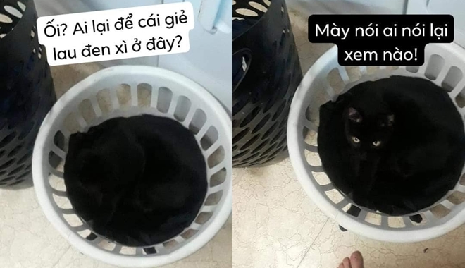Những bức ảnh nhìn vậy mà không phải vậy