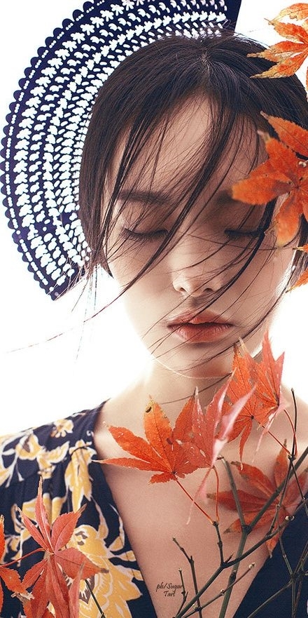15 triết lý nhân sinh của cuộc đời càng đọc càng thấm