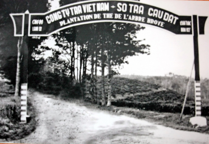Đà Lạt ngày xưa vẫn đẹp như thơ như mộng