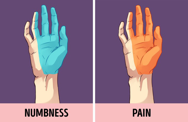 3 bài tập giúp ngừa mọi bệnh tật khi phải ngồi một chỗ cả ngày