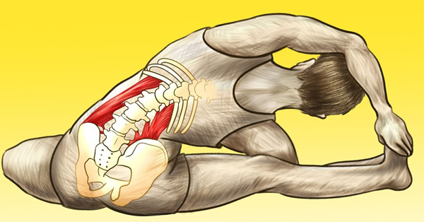 5 động tác kéo giãn giúp thả lỏng cơ thể và giải tỏa căng thẳng