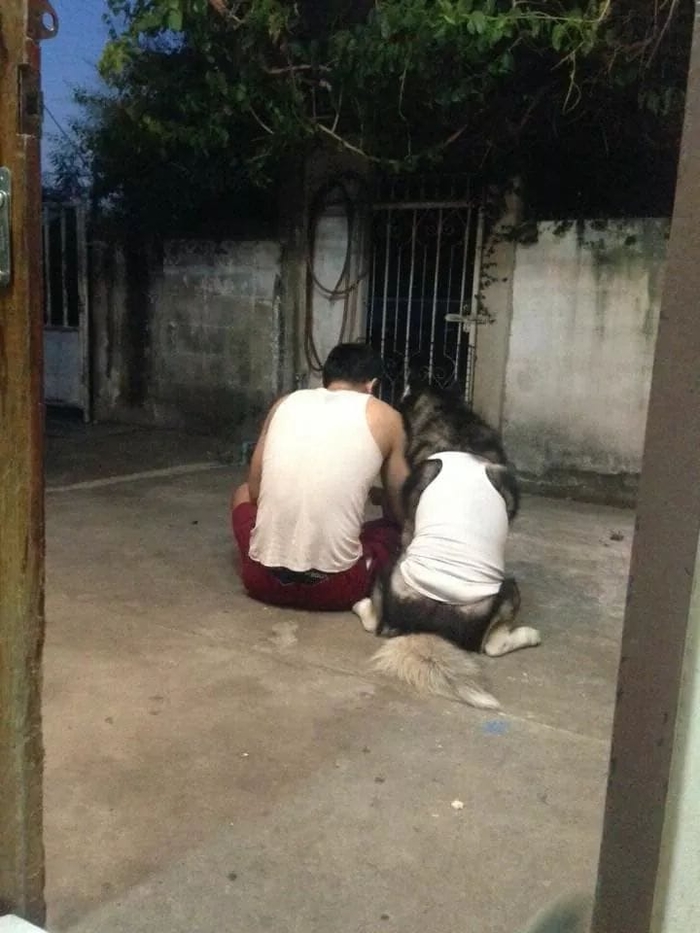 Ảnh vui tuần qua: Khuyến mại bùng nổ, đồ chó giả nai