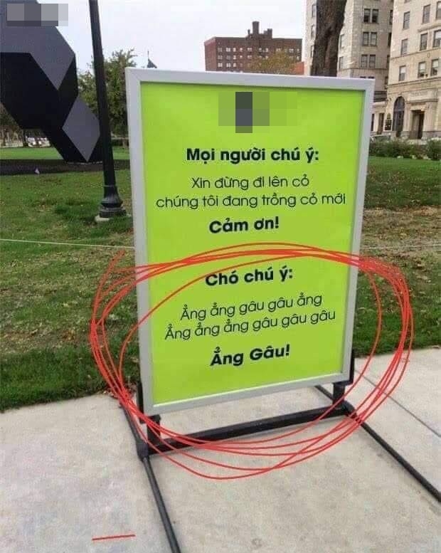 Ảnh vui tuần qua: Ngôn ngữ của loài chó, khi có mẹ ham sống ảo