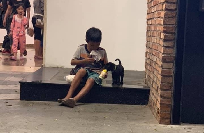 Định than thở nhưng thấy mấy bức ảnh sau lại thôi, bình tĩnh sống nào!