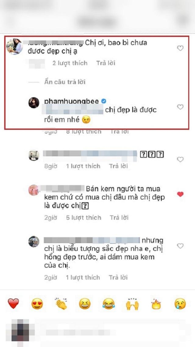Luu De Li va loat sao Viet bi chi trich voi loi ung xu bi cho la kem duyen?