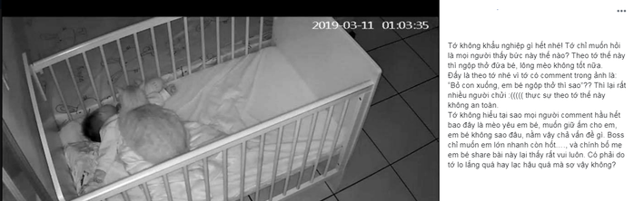 Mèo nằm đè lên trẻ sơ sinh: Cộng đồng mạng tranh cãi dữ dội