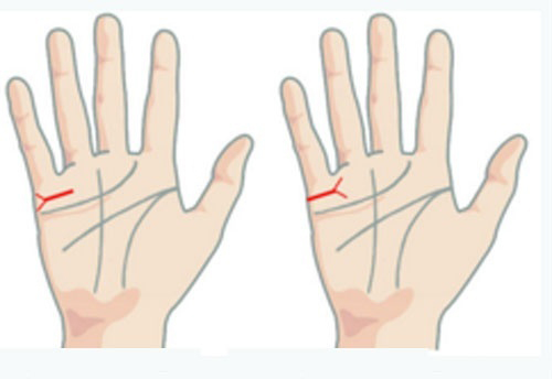 Mở tay xem thử đường chỉ này, bạn sẽ biết mình trải qua mấy lần đò