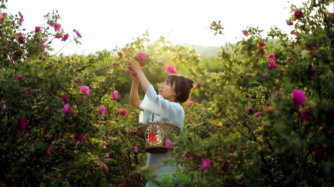 Lý Tử Thất: Hạnh phúc là hành trình, điểm dừng là khi biết đủ