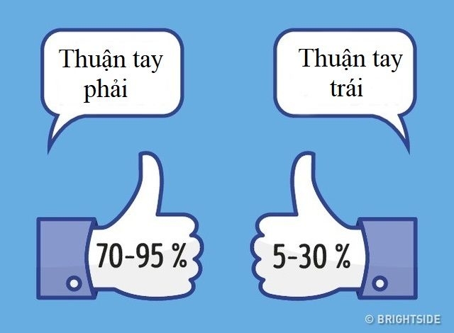 Những điều mới nghe tưởng phi lý nhưng sự thật lại rất chí lý