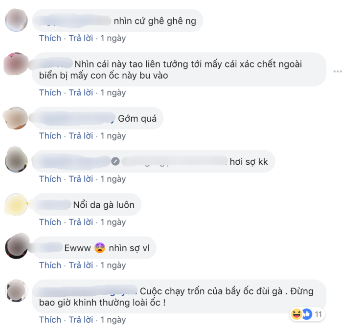 101 tình huống cười ra nước mắt của cô nàng hậu đậu