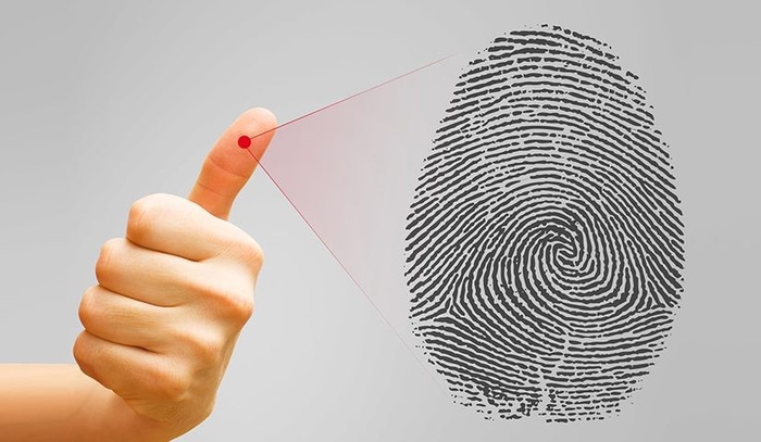25 bí mật về cơ thể con người khiến ai biết phải cũng phải kinh ngạc