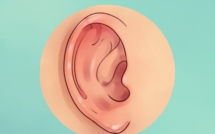 25 bí mật về cơ thể con người khiến ai biết phải cũng phải kinh ngạc