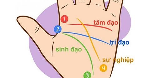 9 nét tướng bàn tay tiết lộ thành công đến muộn song cực kì rực rỡ
