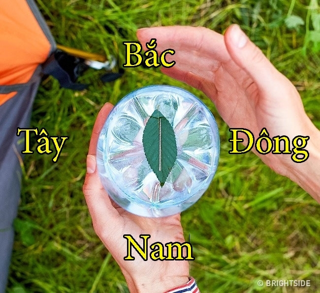 Bí kíp sinh tồn giúp bạn thoát nạn trong gang tấc