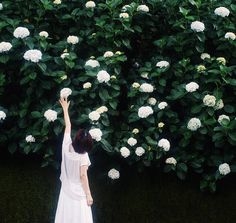 Chúng ta từng là một đoạn thanh xuân của nhau
