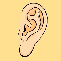 Cùng xem dáng thùy tai để khám phá cá tính trong tình yêu của mình
