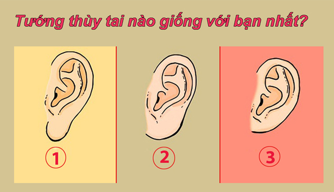 Cùng xem dáng thùy tai để khám phá cá tính trong tình yêu của mình