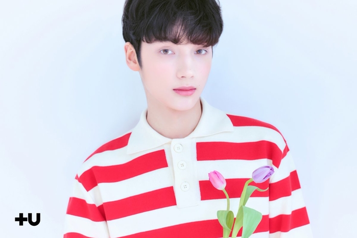 Idol Kpop sở hữu vẻ đẹp lai