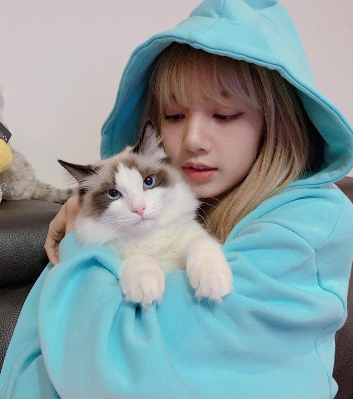 Lisa và Taylor Swift như chị em sinh đôi