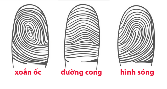 Nhìn dấu vân tay đoán trúng phóc ngay tính cách của chính mình