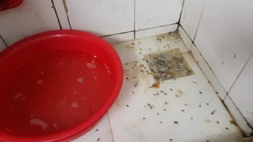 Nhà tắm bị tắc vì rác ứ đọng
