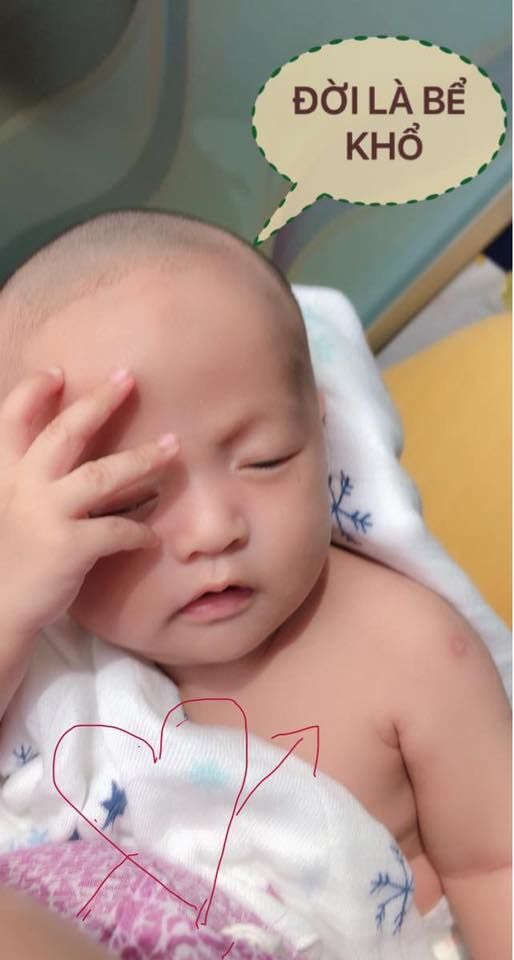 Loạt biểu cảm đáng yêu của các bé nhà sao Việt
