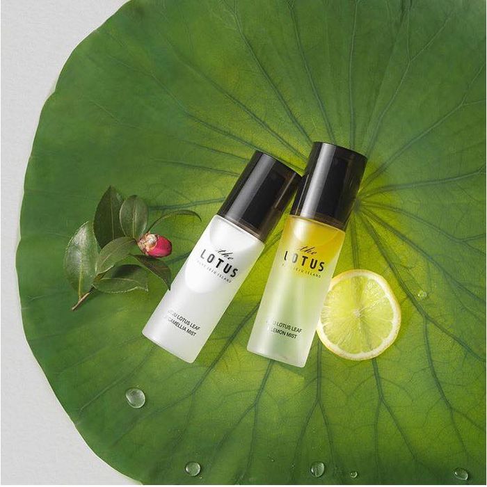 Top mỹ phẩm được beauty blogger ưa dùng