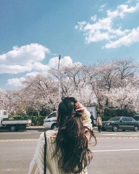 Những chiếc lược đáng đầu tư cho mái tóc