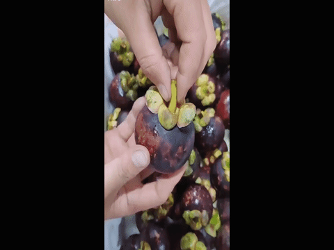 Ăn măng cụt như thế nào là đúng và tốt cho sức khỏe?