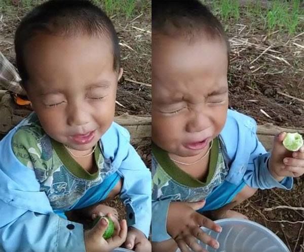 Những biểu cảm hài hước của trẻ khi ăn chua