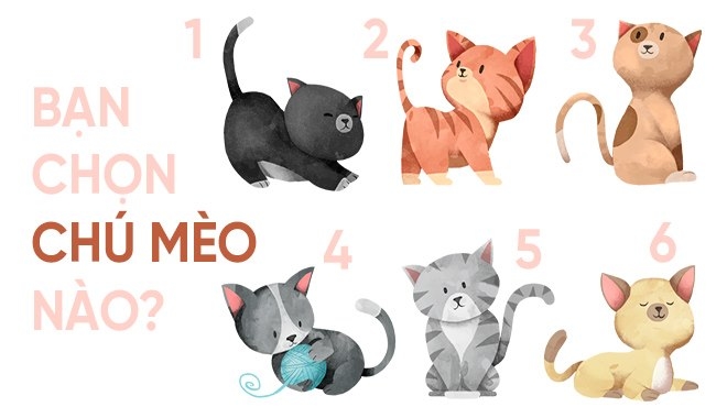 Chọn một chú mèo và khám phá những tính cách còn ẩn giấu của mình