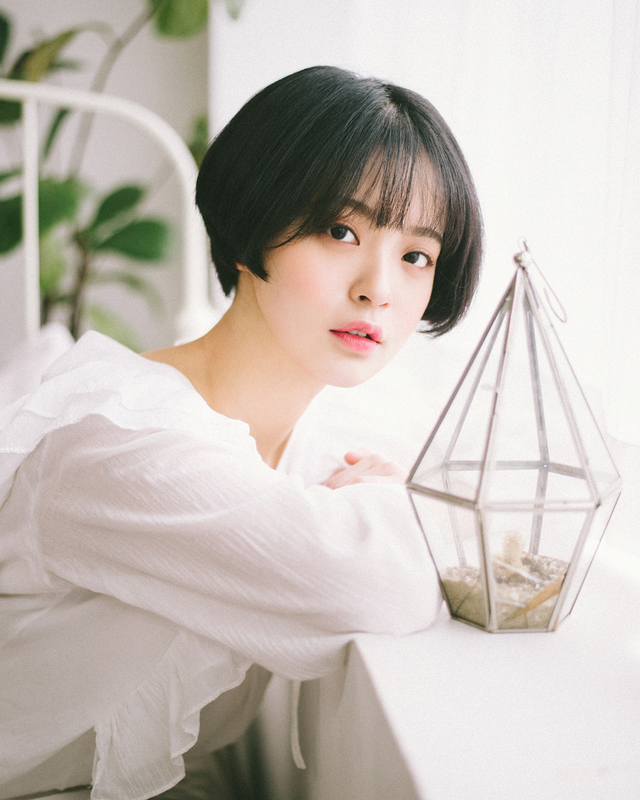 Chọn một chú mèo và khám phá những tính cách còn ẩn giấu của mình