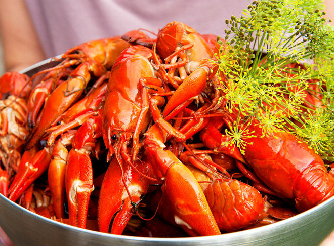 Tôm hùm đất gây sốt ở Việt Nam nhưng được xem là hàng cấm