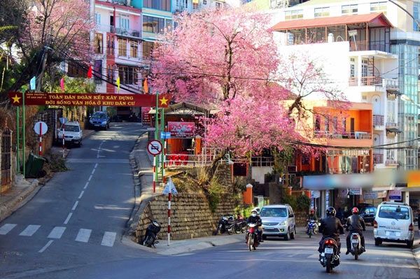 Đà Lạt và những sự thật dễ thương không phải ai cũng biết