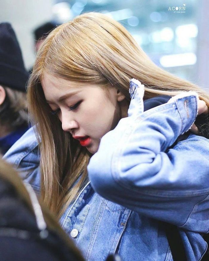 Đọ góc nghiêng của 4 mẩu BlackPink: Đều cực phẩm, đẹp sắc nét