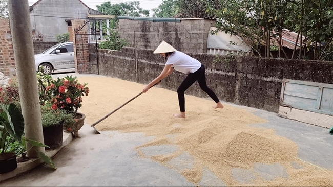 Hình ảnh trái ngược khi người đẹp Vbiz về thăm quê: người cào lúa, ngư