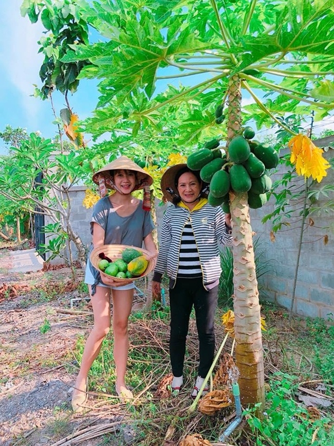 Hình ảnh trái ngược khi người đẹp Vbiz về thăm quê: người cào lúa, ngư