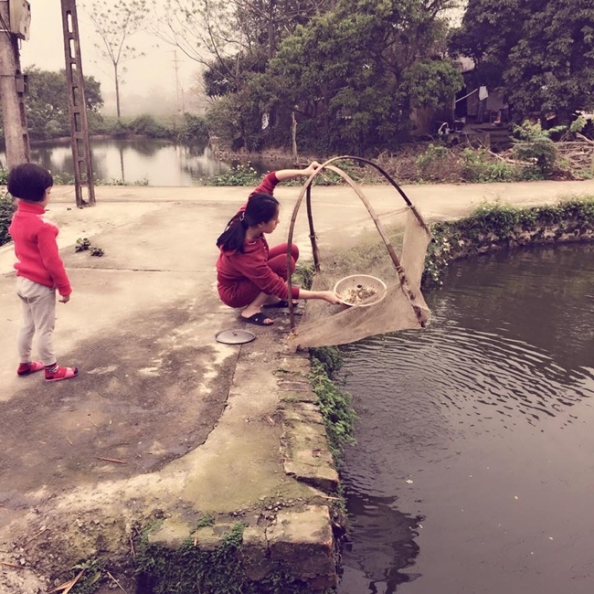 Hình ảnh trái ngược khi người đẹp Vbiz về thăm quê: người cào lúa, ngư