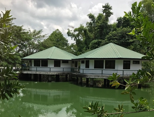 Khách sạn Philippines cấm các đôi tình nhân ngủ chung phòng