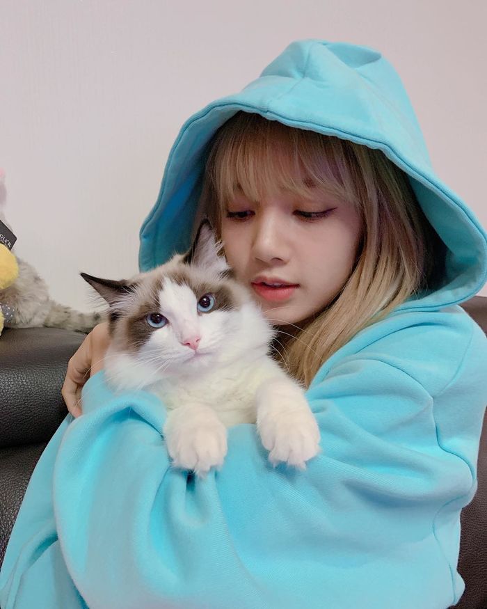 Lisa (Black Pink) chính thức là nữ hoàng Instagram mới của Kpop