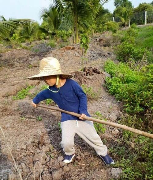 MC Quyền Linh và loạt sao Việt sống chuẩn tiêu chí “Người nông dân vàn