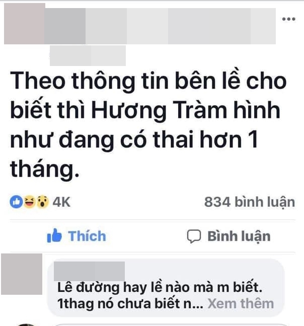 Phạm Hương, Hương Tràm bị đồn có thai vì tạm dừng sự nghiệp để sang Mỹ
