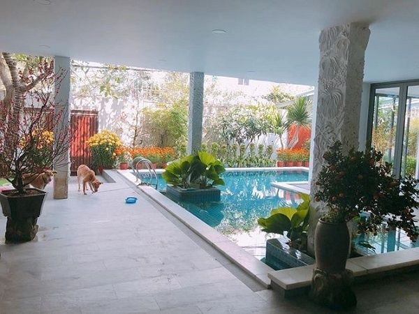 Sao Việt lấn sân nghề tay ngang: “giàu nứt đố đổ vách” nhà lầu, xe hơ