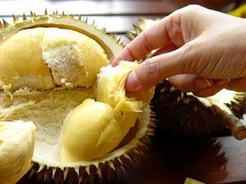 Ăn sầu riêng uống nước ngọt gây tử vong