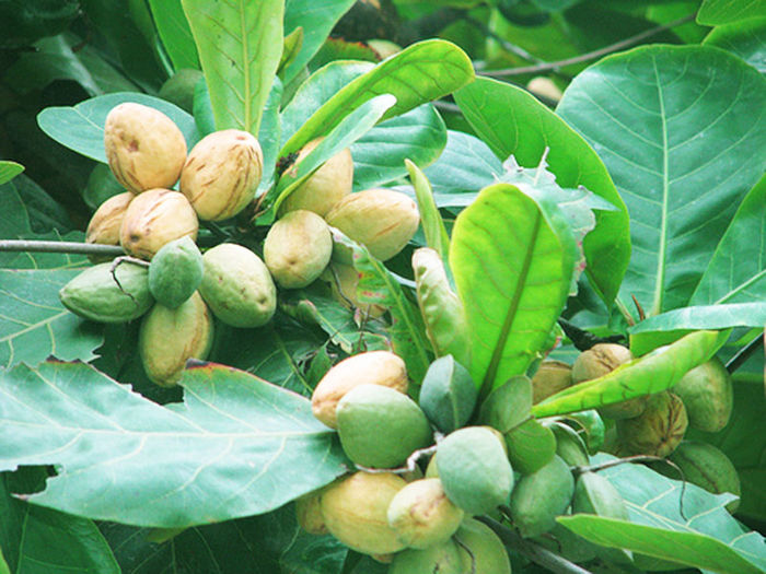 Xem xong loạt ảnh này, 9x đời đầu chỉ muốn quay về tuổi thơ
