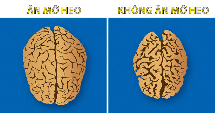 12 thực phẩm quen thuộc có thể ảnh hưởng kỳ lạ đến sức khỏe của bạn