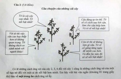 4 cái cây trong đề văn tuyển sinh lớp 10 và 4 kiểu người ai cũng gặp
