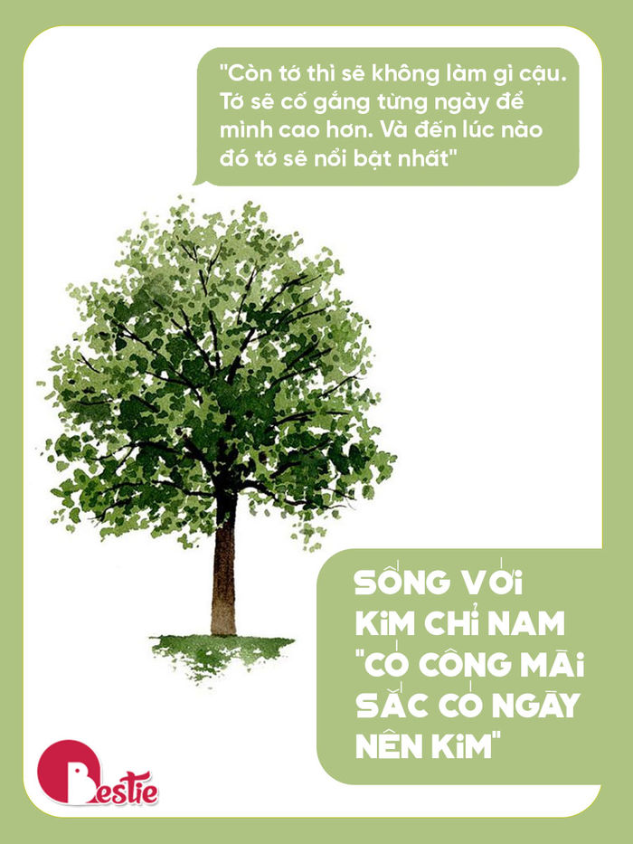 4 cái cây trong đề văn tuyển sinh lớp 10 và 4 kiểu người ai cũng gặp